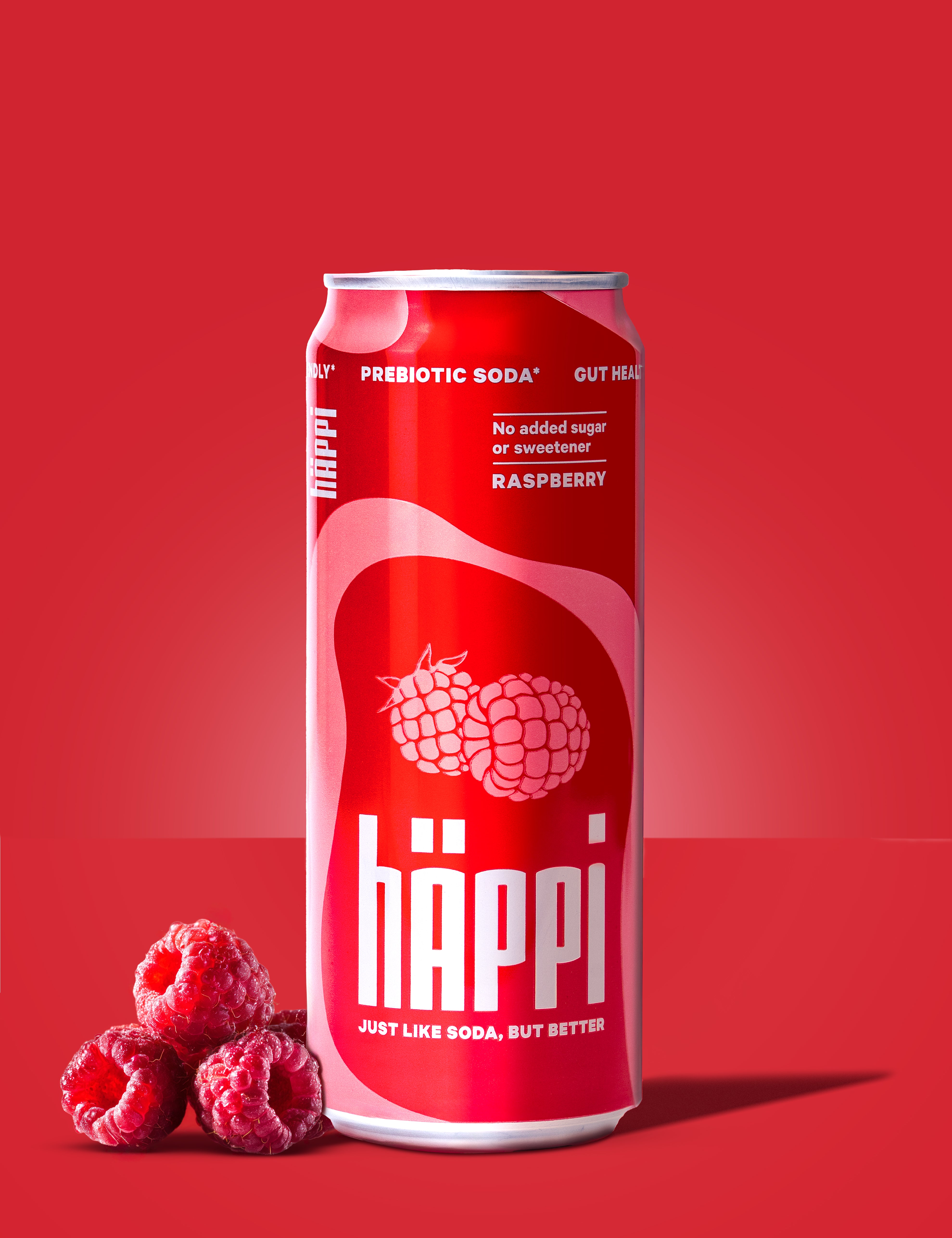 happi_raspberry_4.jpg
